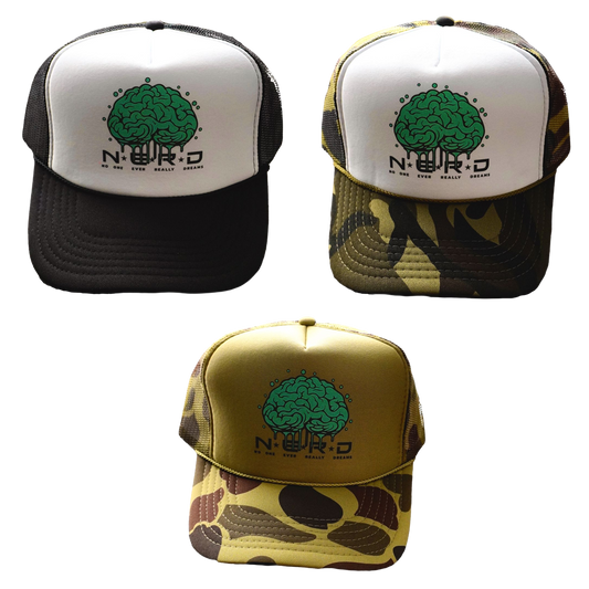 NERD Snapback